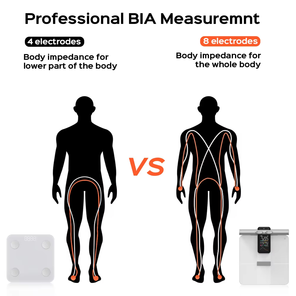 2025年新型オフライン測定機能付き体重計 体脂肪計 体組成 - Body Fat Scale Smart のレビューと価格